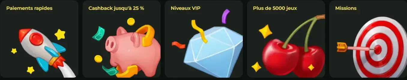 Programme VIP